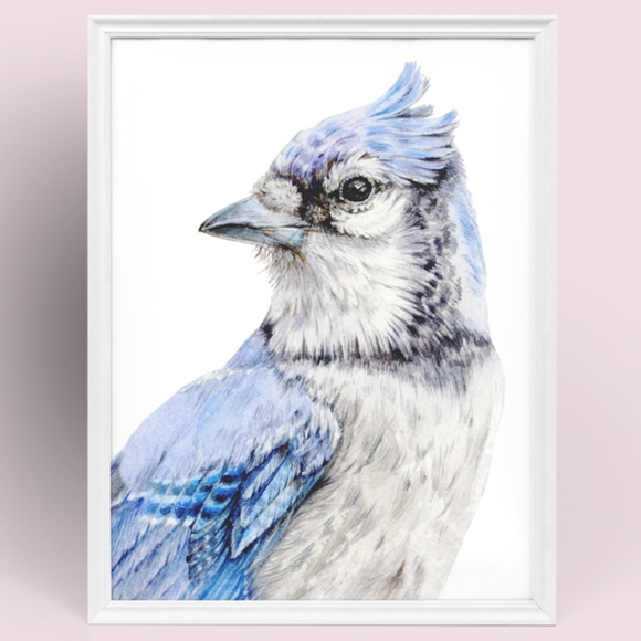 Blue Jay Bird Portrait Wall Art Watercolor Print Poster Unframed - Picture 9 of 9